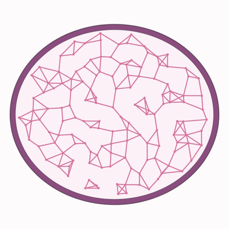 Corte transversal de fémur con la red trabecular afinada y porosa.
