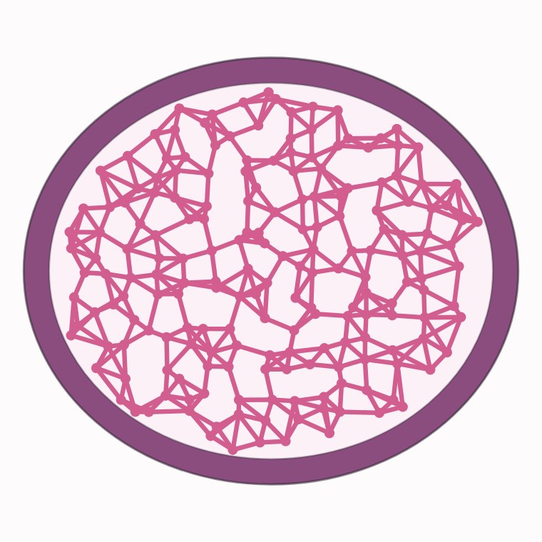 Corte transversal de fémur con la red trabecular densa.